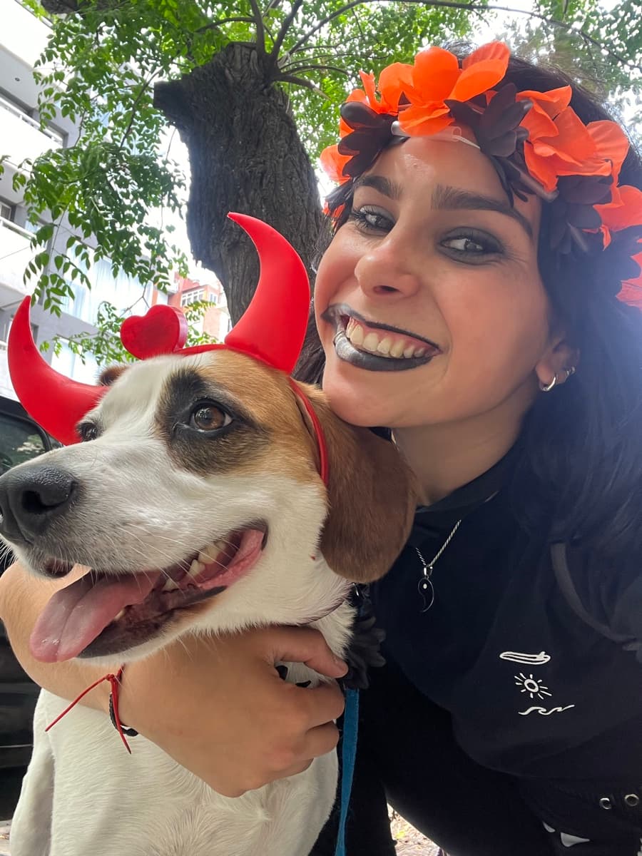 Mountain Dogs equipo