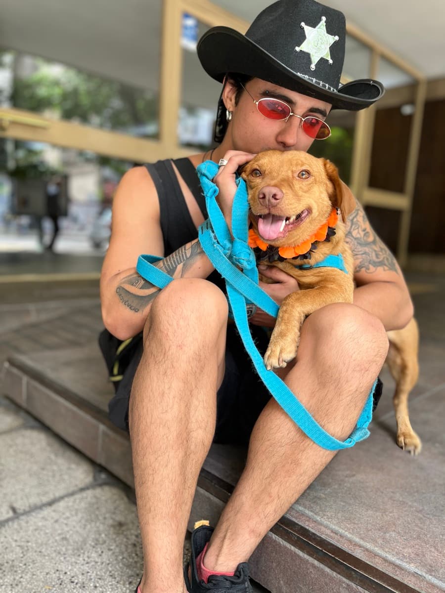 Mountain Dogs equipo