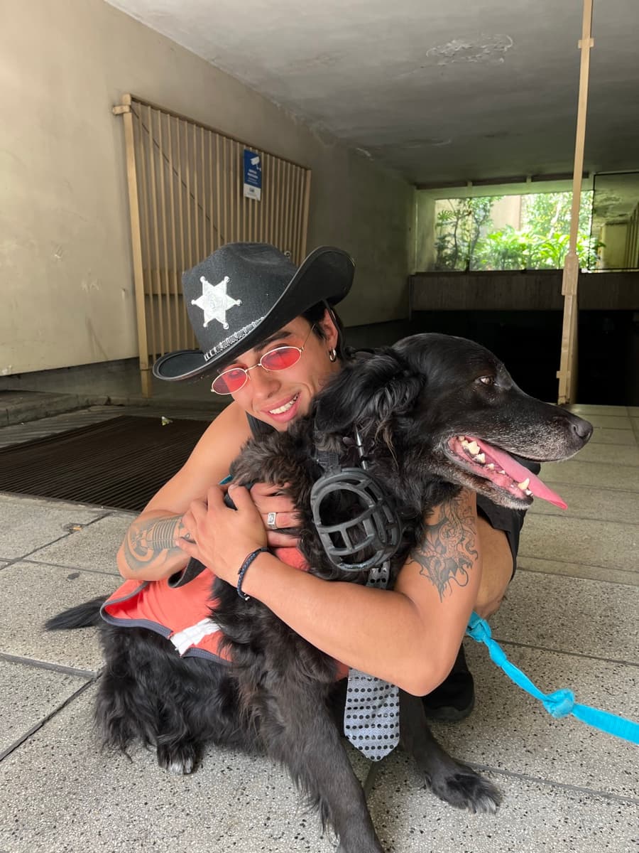 Mountain Dogs equipo